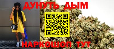 гашик Будённовск
