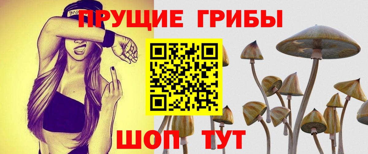 Псилоцибиновые грибы Psilocybine cubensis  Галлюциногенные грибы Psilocybine cubensis  Вход с VPN  Ростов Великий 