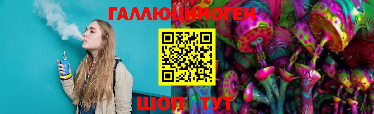 Галлюциногенные грибы Psilocybine cubensis Ростов Великий